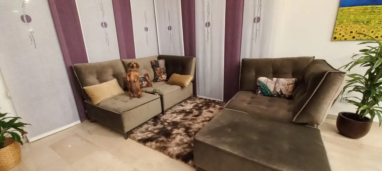 Pipa está encantada con su nuevo sofa