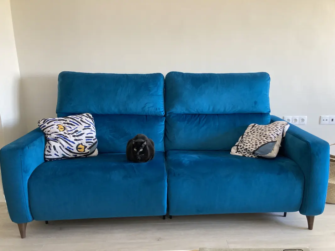 La dueña del sofá