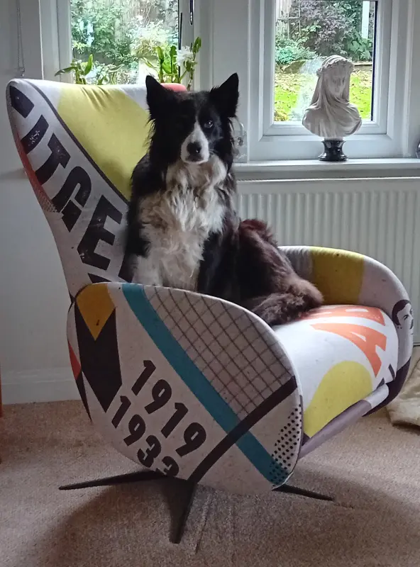 I'm claiming this chair!