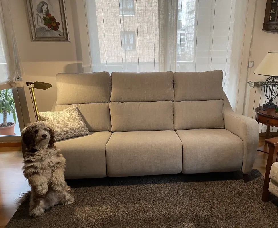 El osico con su sofá nuevo