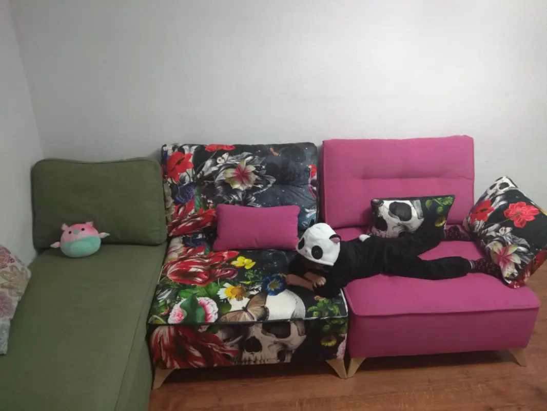Panda y su sofá