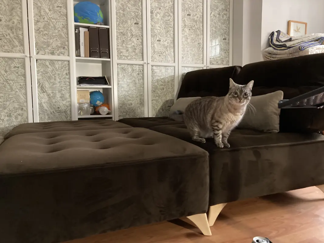 El auditor viendo la calidad del sofá