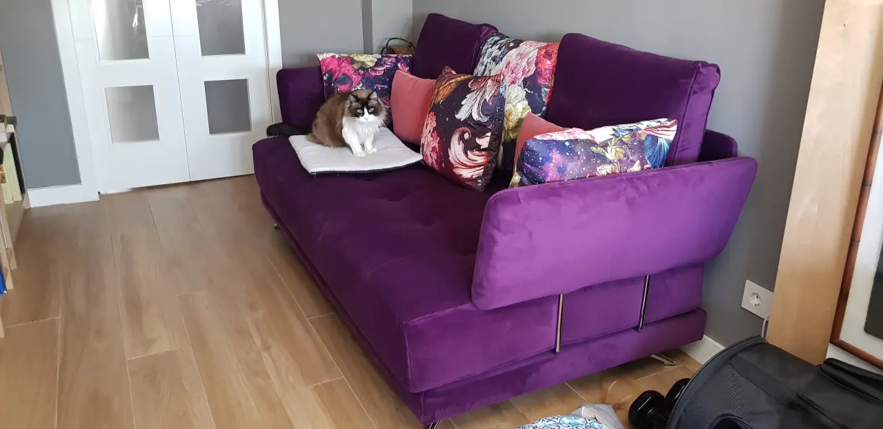 Merlin y su sofá mágico!