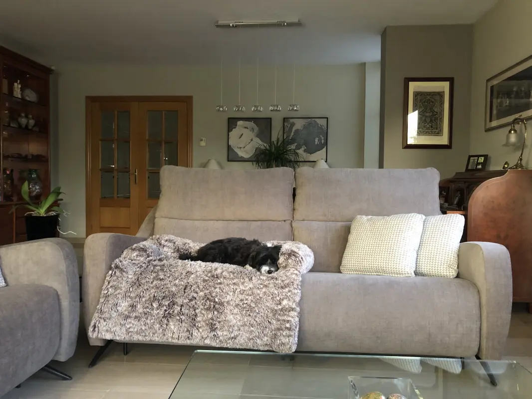 Duc, feliz con su nuevo sofá