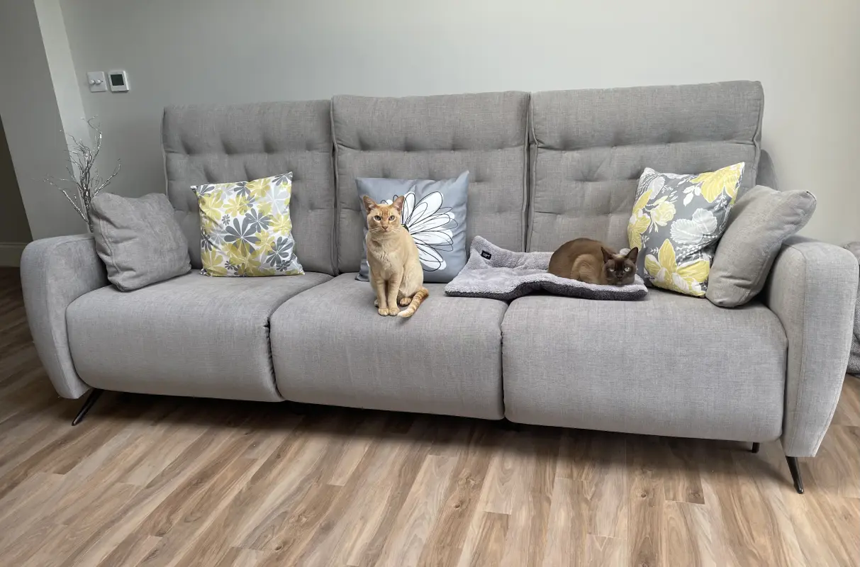 Purrfect Sofa