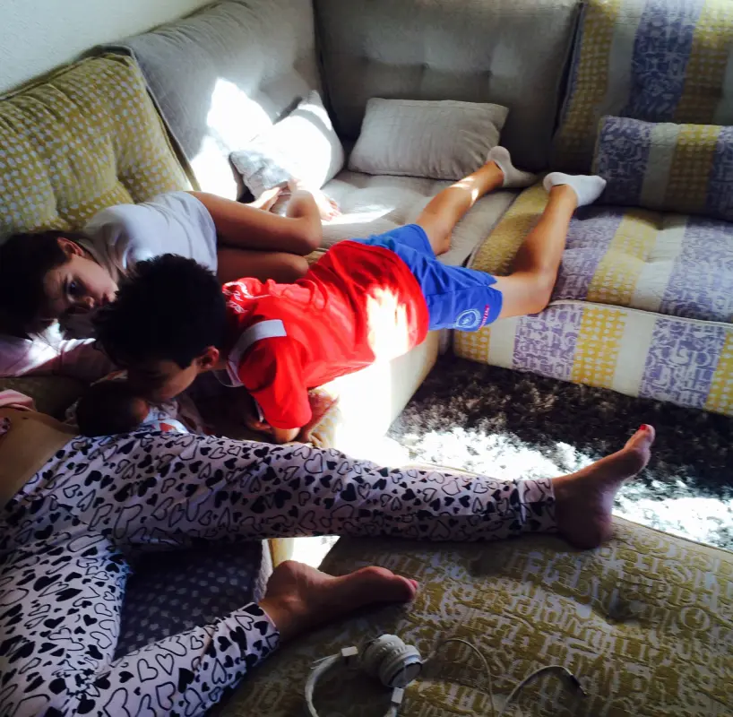 La leona y sus tres cachorros