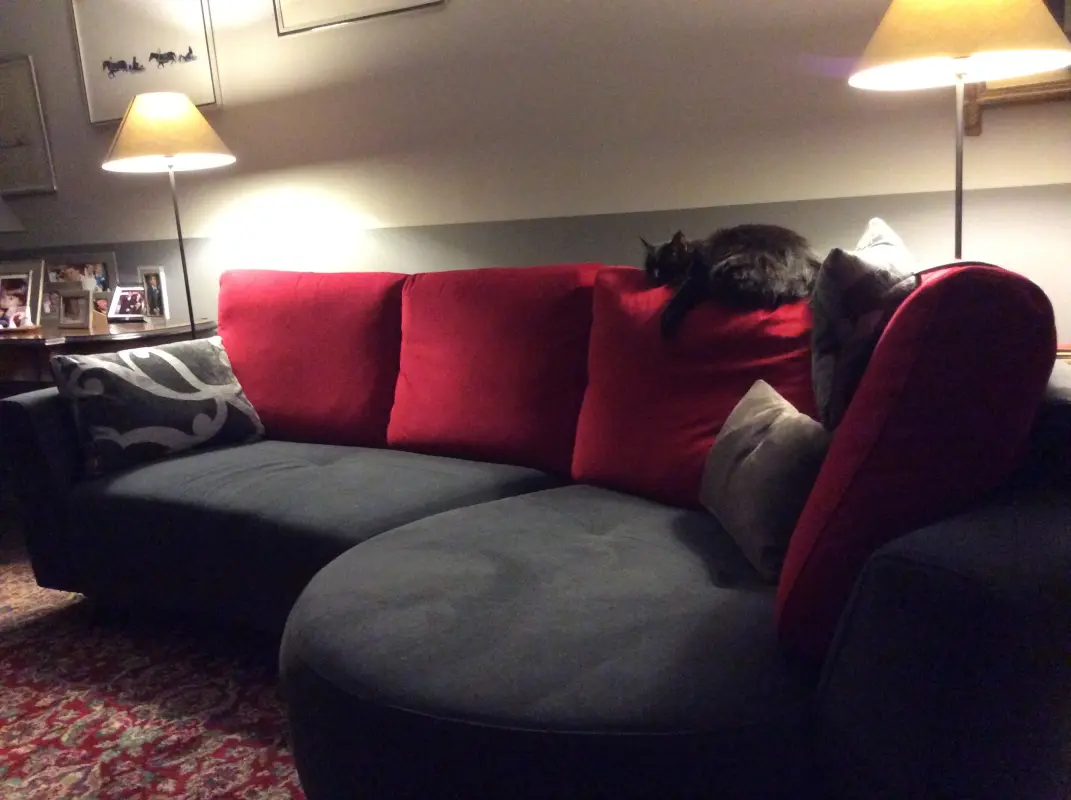 Lilou profite du canapé fama