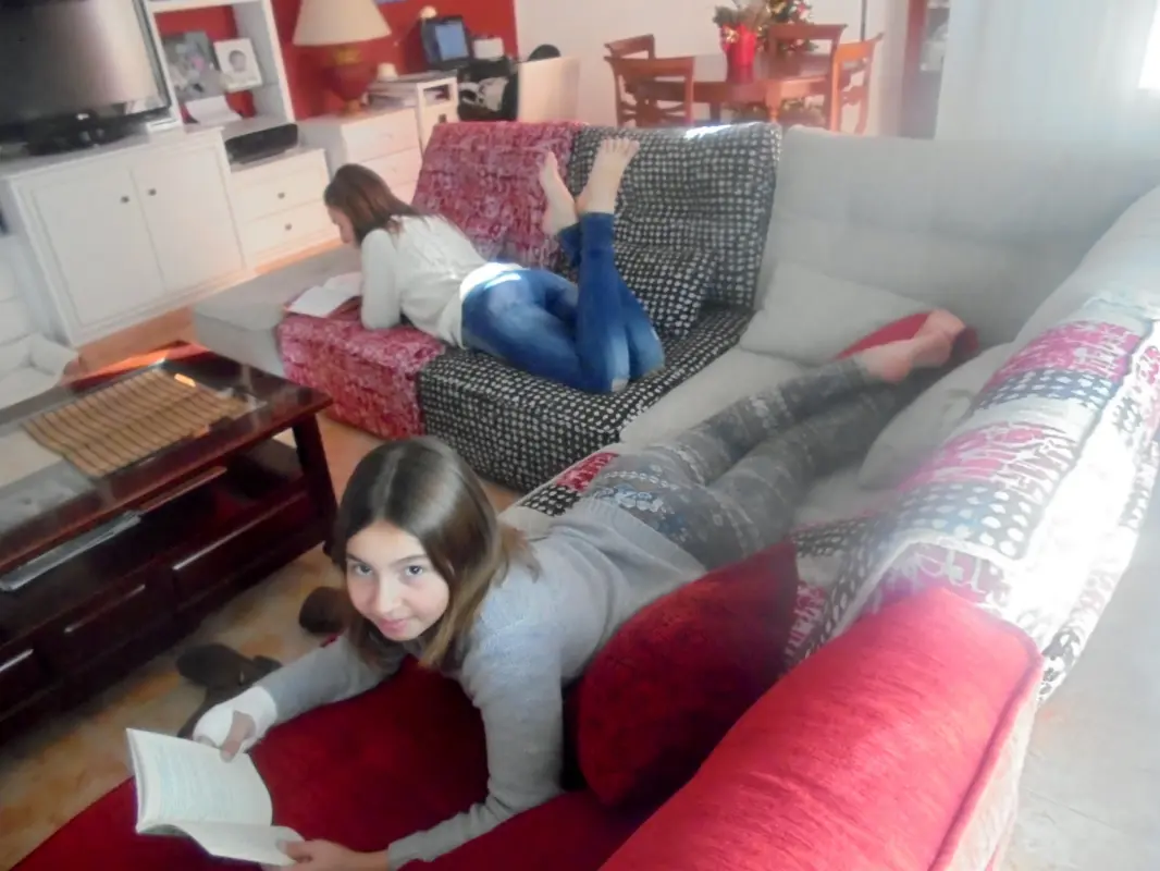 Dos libros necesitan un buen sofá.