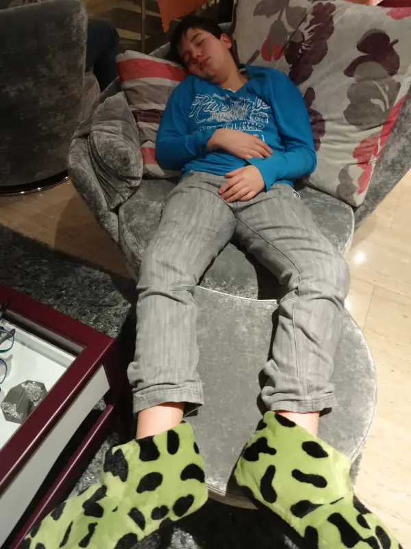 Dinosaurio durmiendo