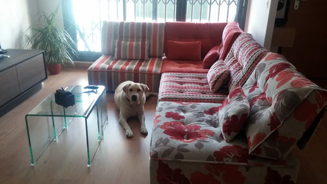 No puedo pedir más...