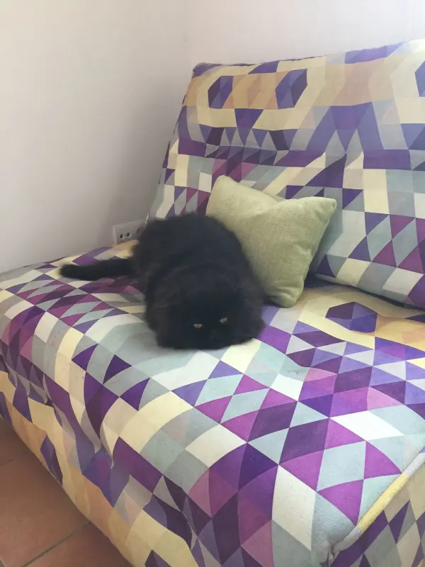 KING BLACKY