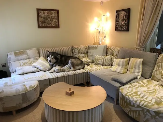 Caught In The Act