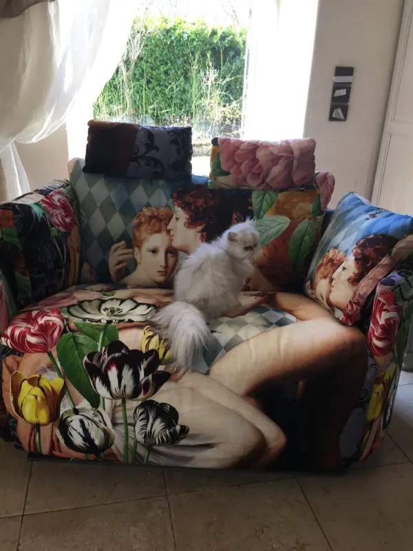 Myrtille sur Moonrise xl