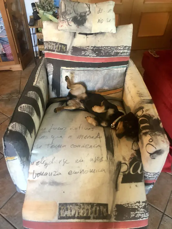 Qué cómodo estoy!!!