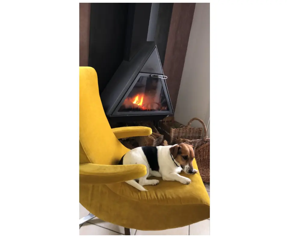 Némo au repos ;)