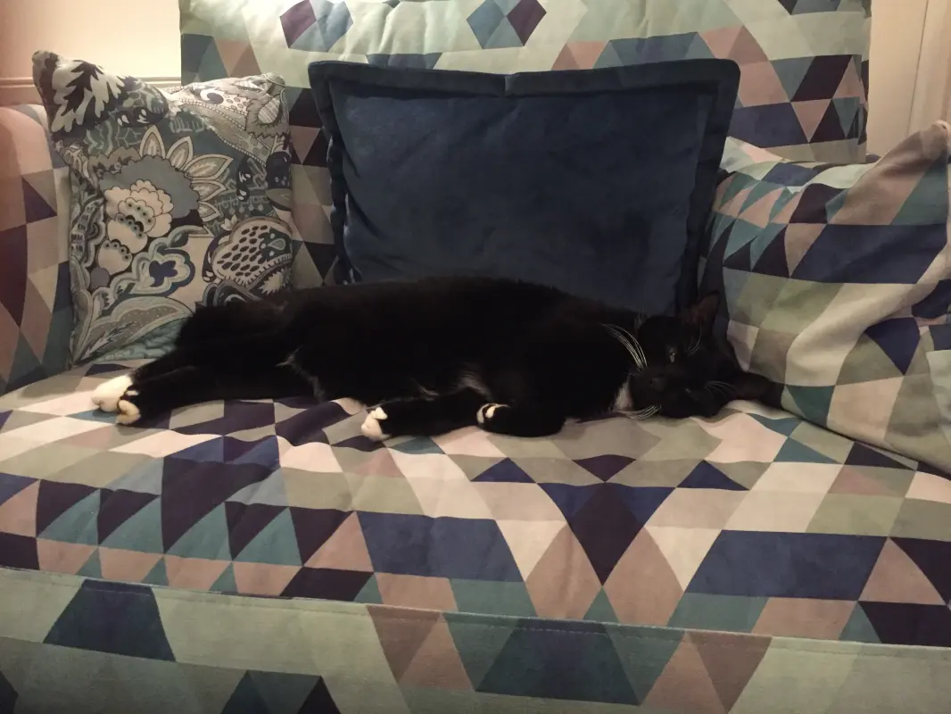 Relaxing on our lovely sofas