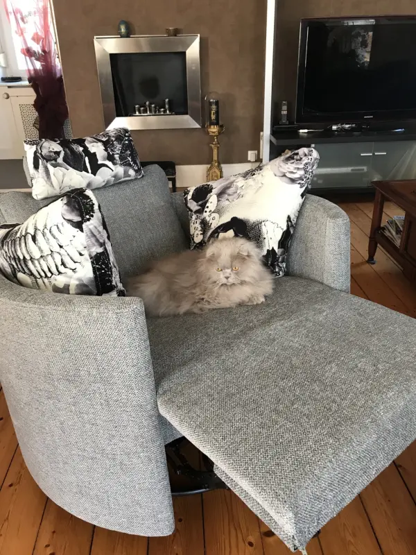 WILLY Ouvrier classe supérieure