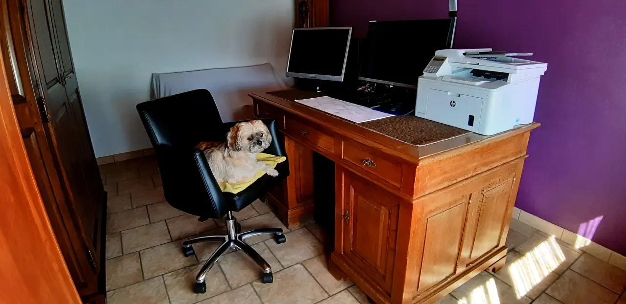 Jason dans le fauteuil de bureau Elvis