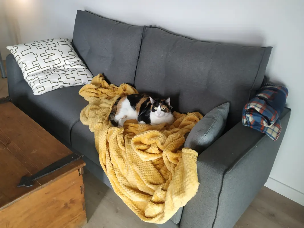 Gracias por regalarme un sofá