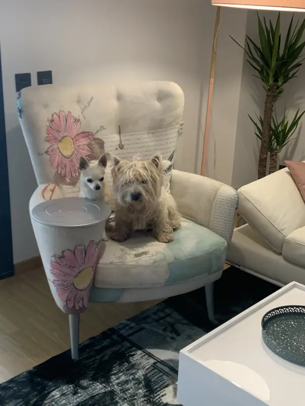 La familia al completo disfruta y comparte el sillón