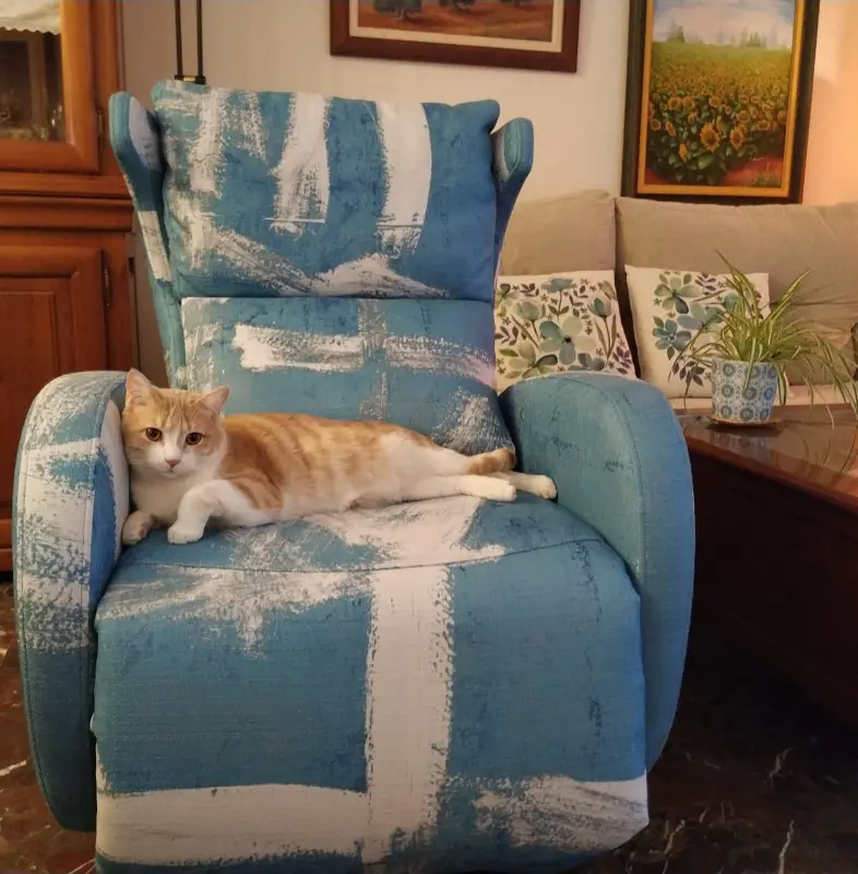 El Rey del sillón