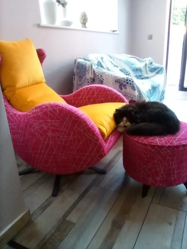 I like the Lenny chair but I like the pouff bettet