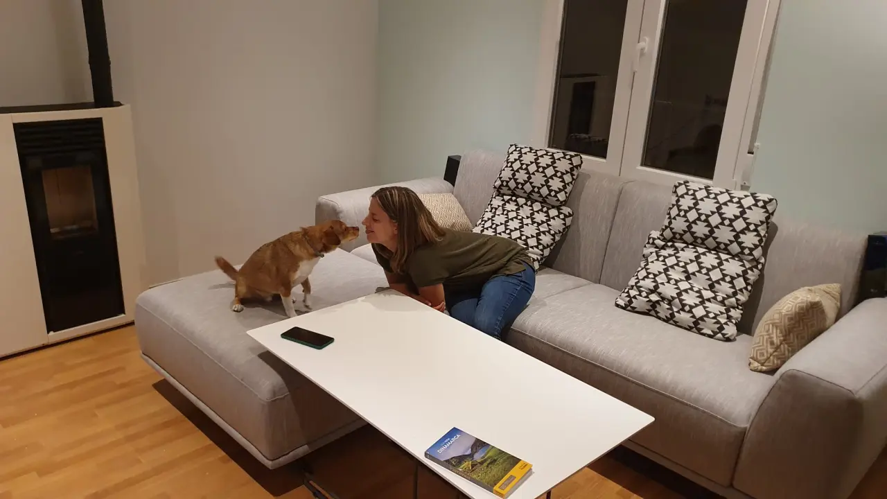 Felici e contenti