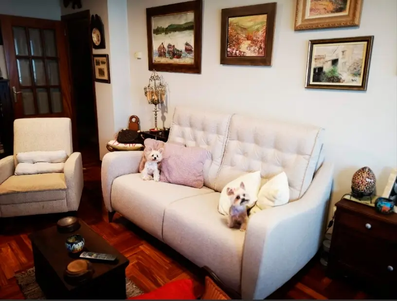 Senna y Nuka en Avalón, descansan un montón