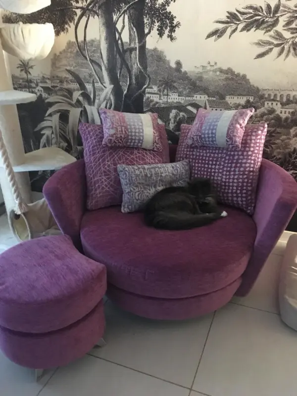my nest