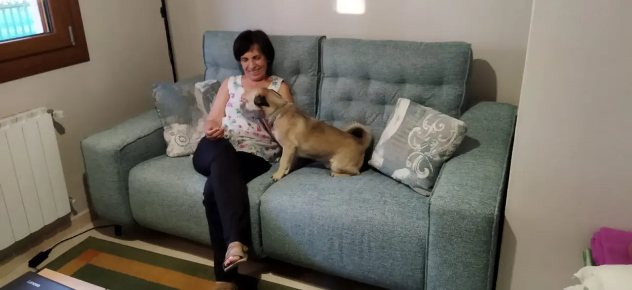 Mi sofá, mi perro y yo