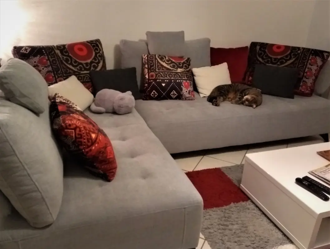 Matanga adore !