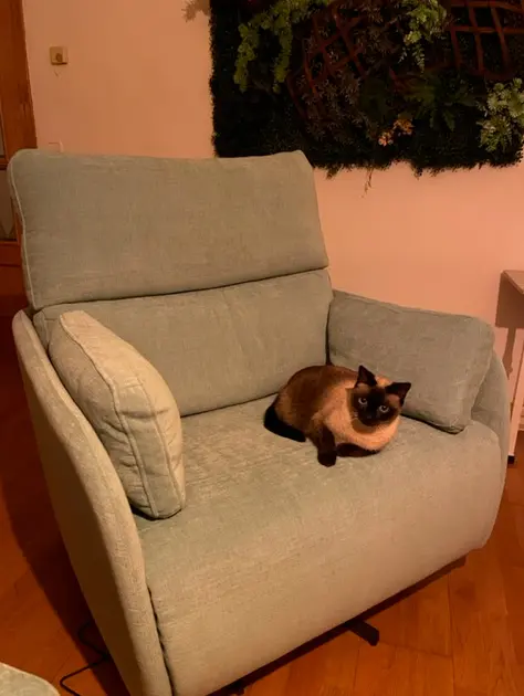 ¿Qué me baje del sillón?