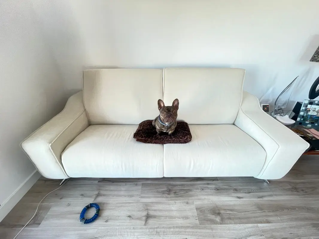 Enamorado de Famaliving