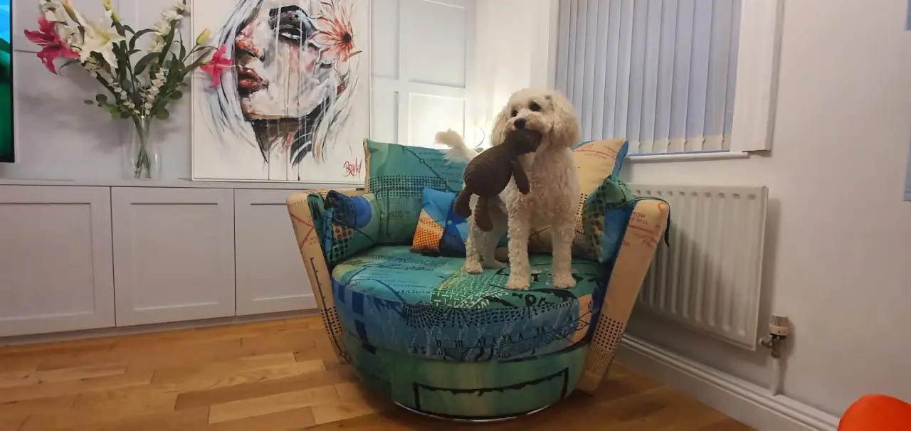 My Life in My My Nest