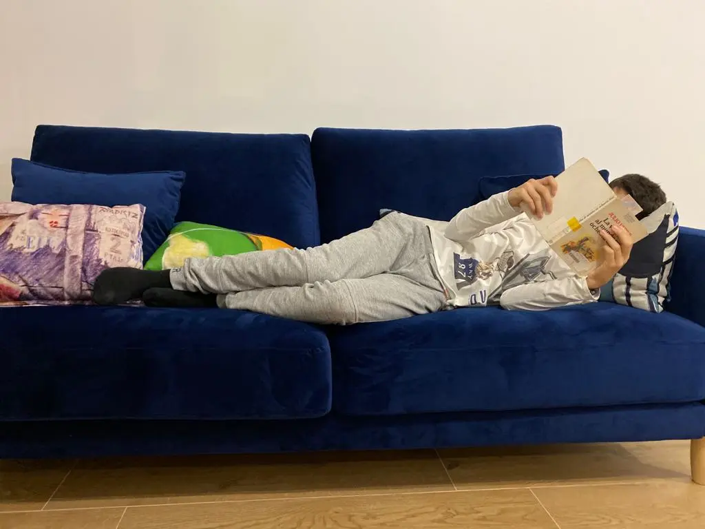 El sofá ya tiene dueño!!