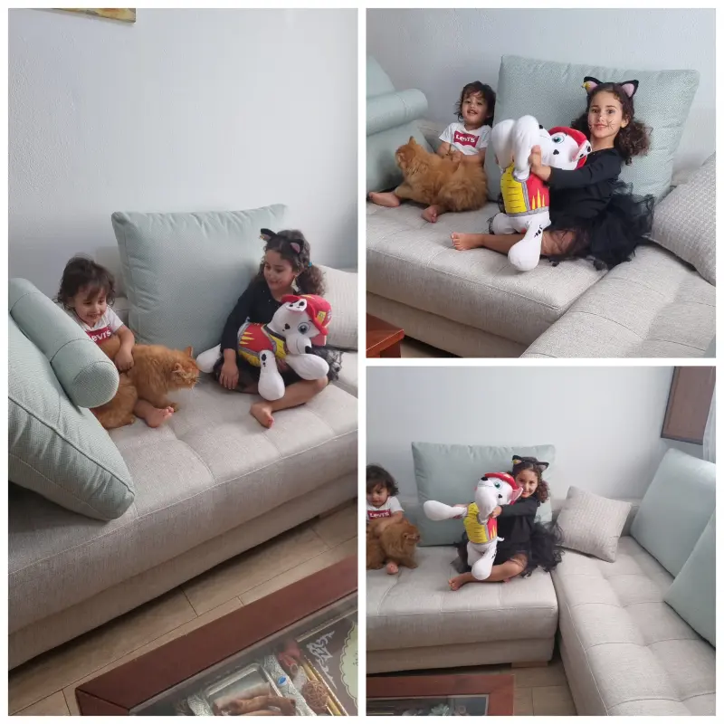 Mi querida sofá🤩  Yasmin /Miguel/Winsy