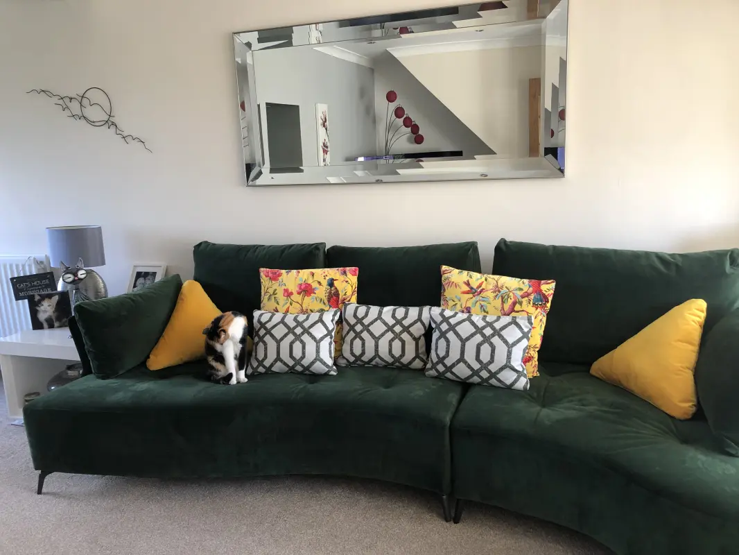 Our cat Bob enjoying her new Kalahari