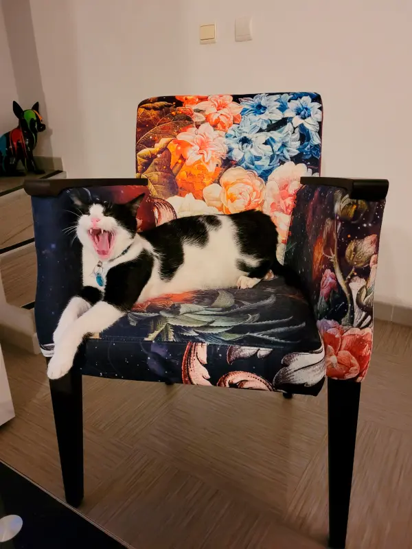 LOYEZ Heidi