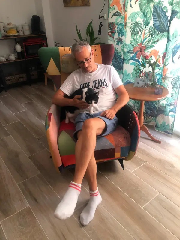 Felinos de relax.