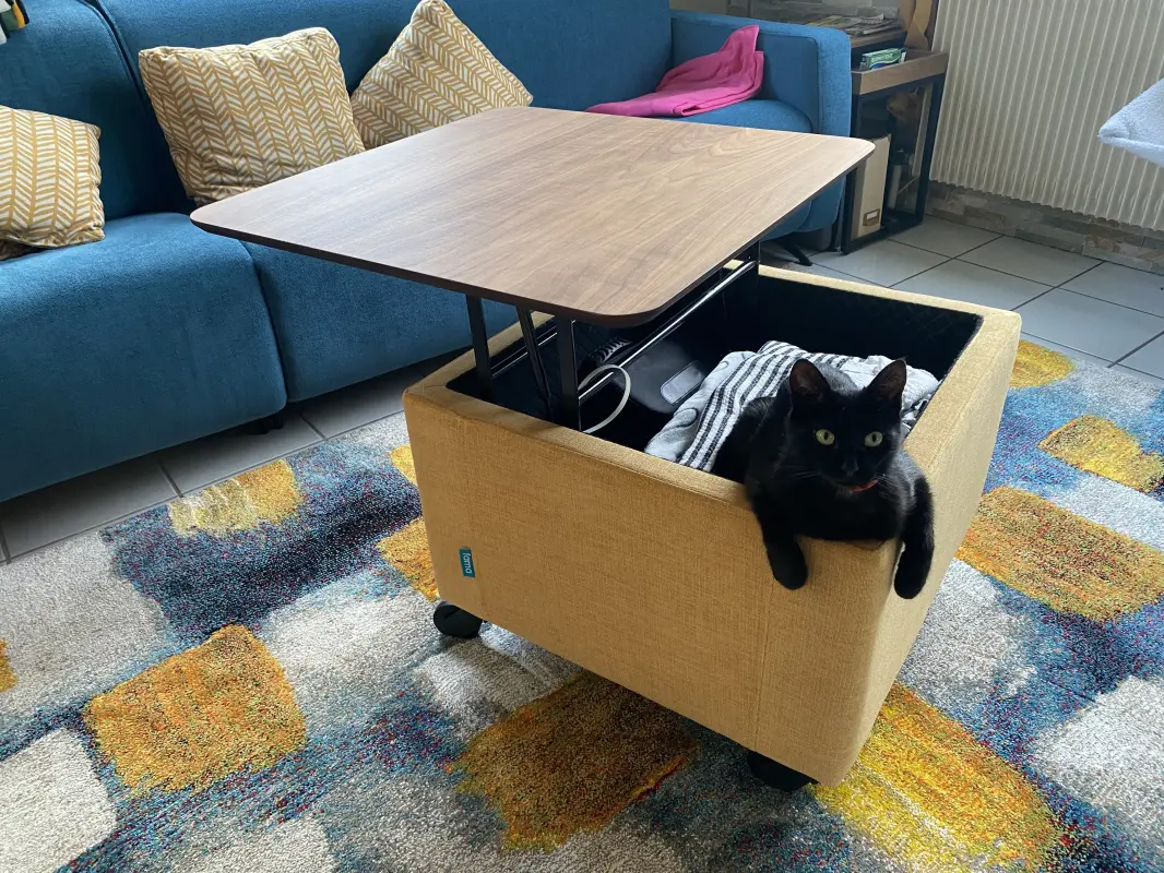 Nouvelle cachette