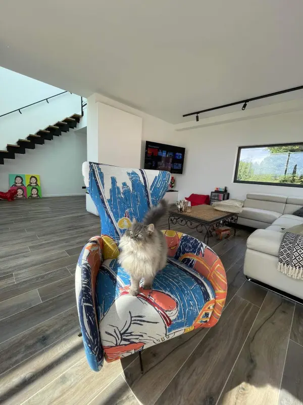 Sofa´s king