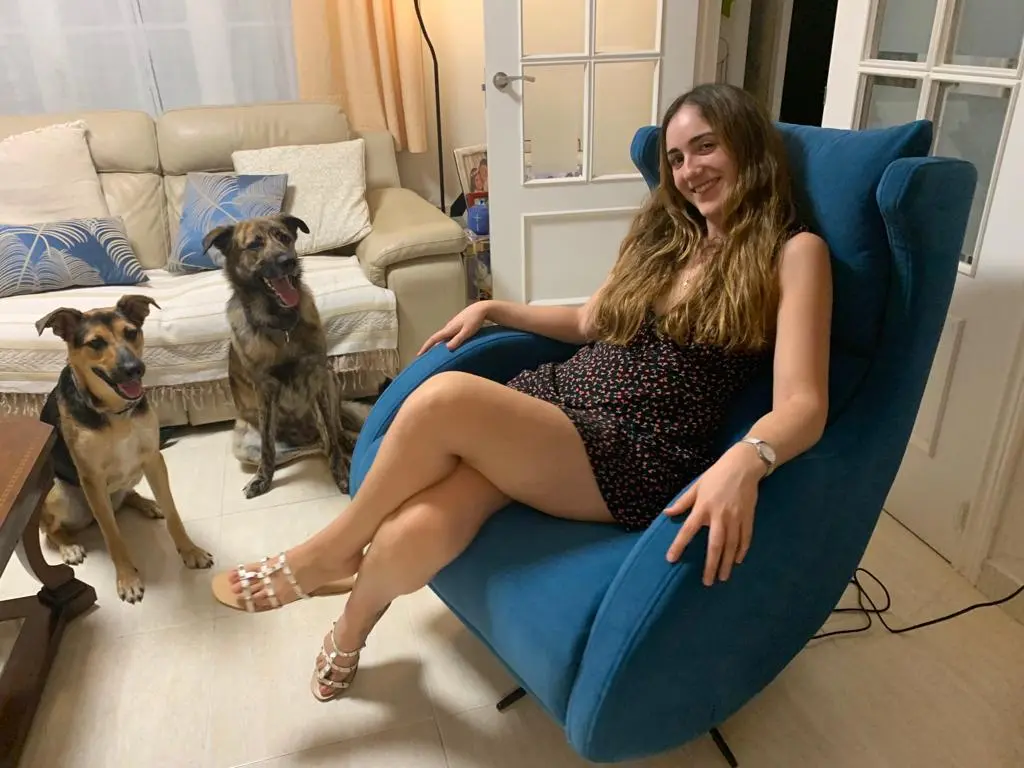 Visita con mascotas