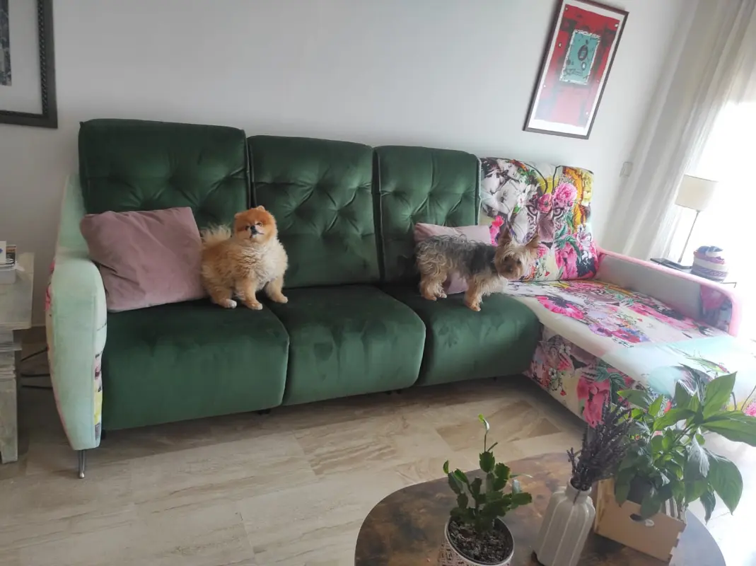 Probando el sofa