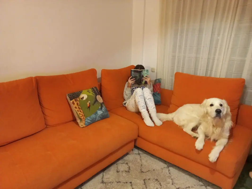 El dueño del sofá