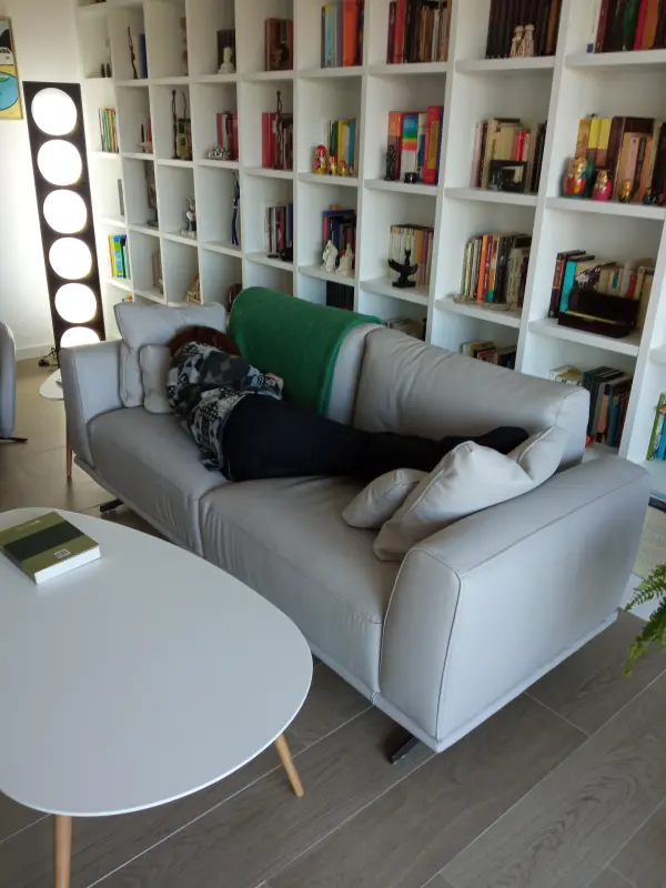 La siesta en mi sofá Klever
