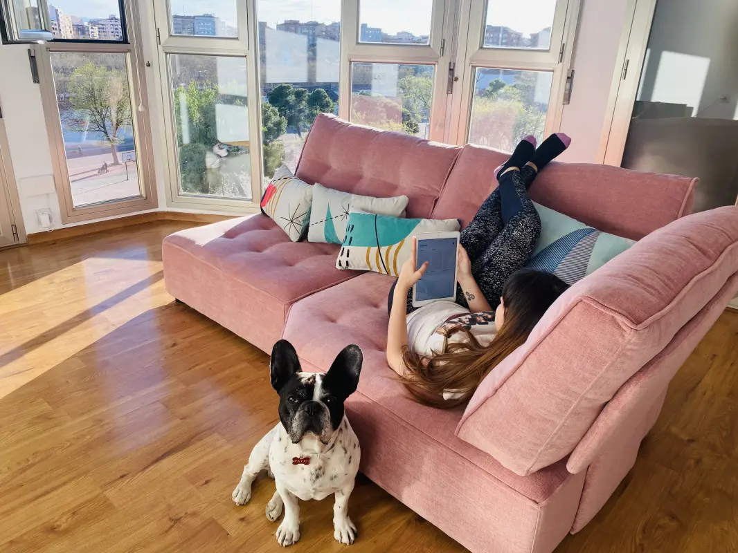 Tarde de sofá, manta y hacer el perro