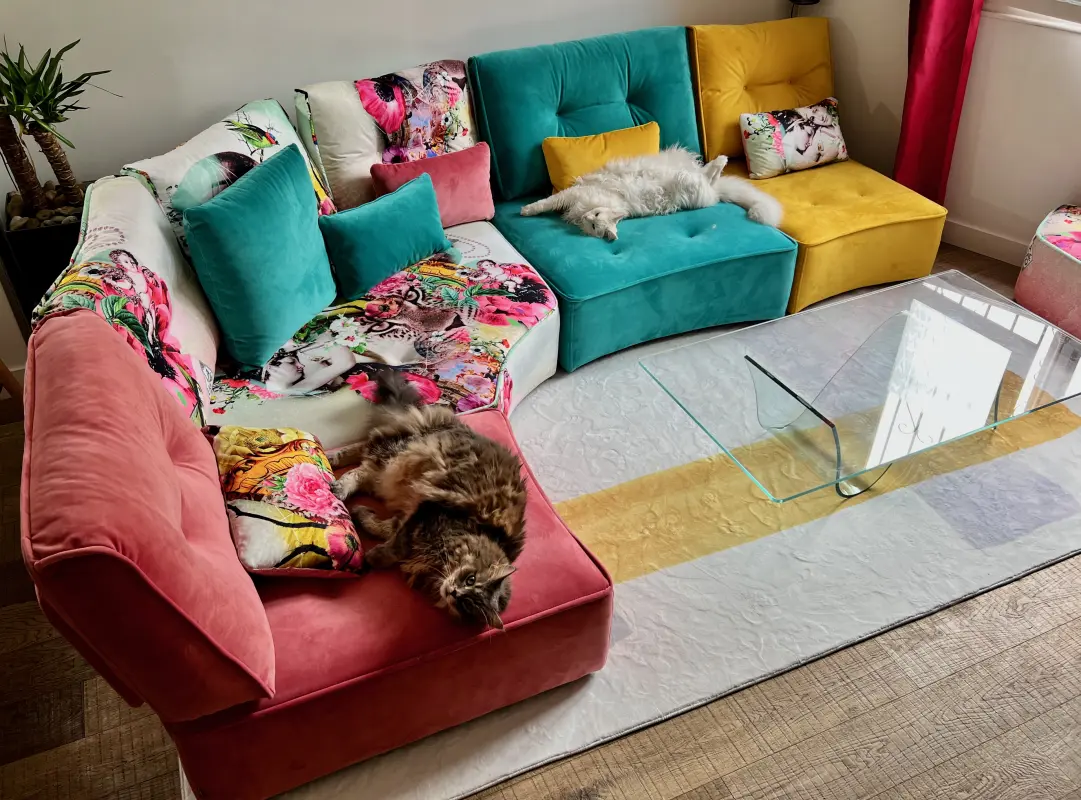 Le Règne Félin sur le Trône Arianne Plus