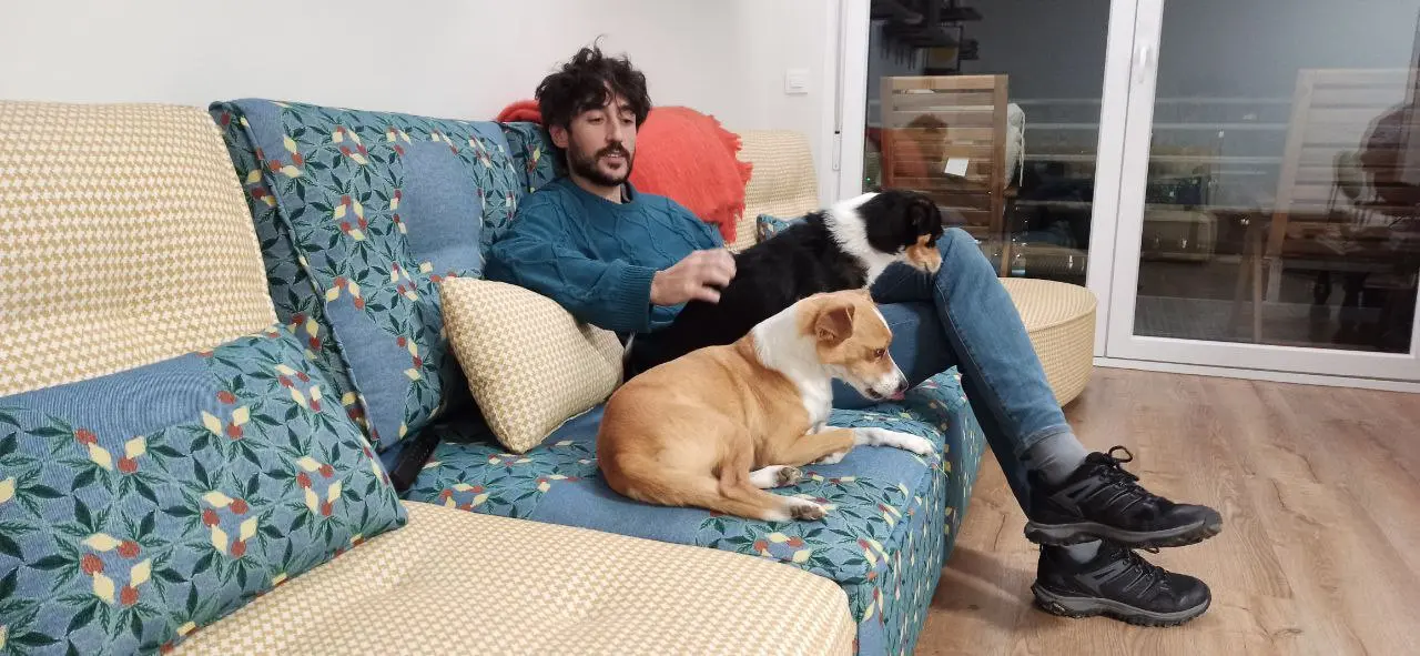 Arianne para perros