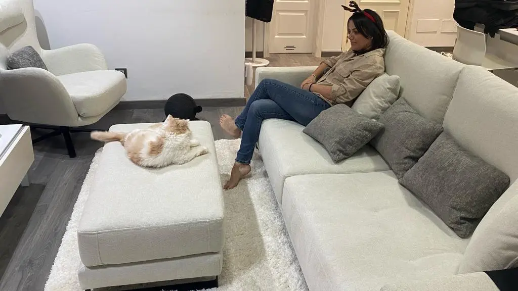 EL REY DEL SOFA