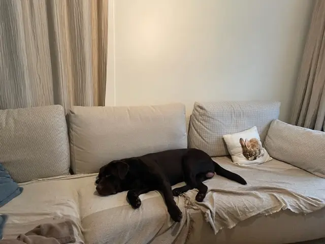 Best sofa ever!